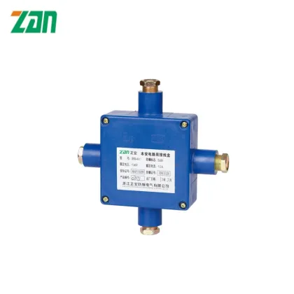 JHH-4 (B) Branch Box for Intrinsically Safe Circuits