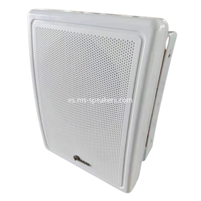 Wall Speaker Jpg