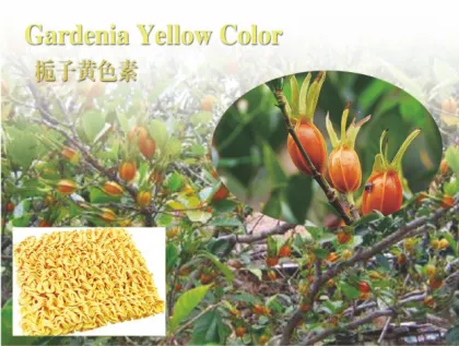 Gardenia yellow color/Gardenia blue color