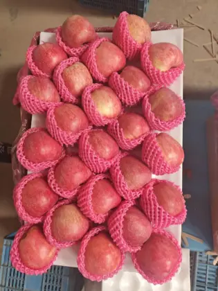 Full Color Good Quality Red Star Apple