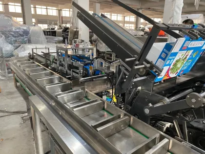 Automatic Cartoning Machine for Chocolate Bars - Manufacturers and Suppliers