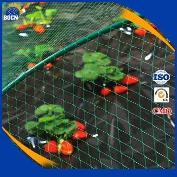 Plastic Netting with low price