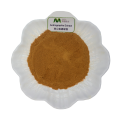 Kosher Certificate Andrographis Paniculata Extract Powder