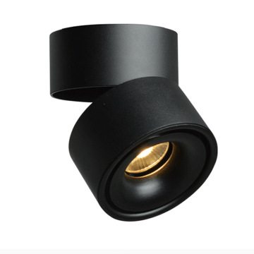 Cob LED-Schienen-Downlights