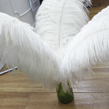 YAYUN W-3110: New Arrival Wedding Party Decor Ostrich Feathers