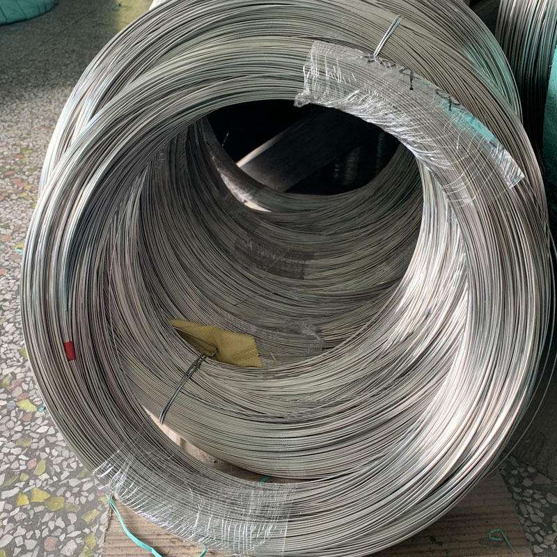 SUS 316L Stainless Steel Spring Wire 