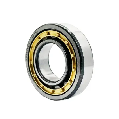 China Manufacturer of Cylindrical Roller Bearings: BC1-0313