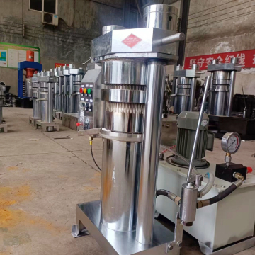 Low Power Consumption Hemp Seed Oil Press Machine in Pakistan