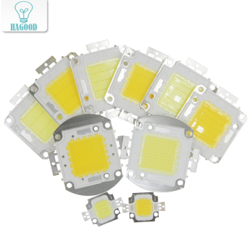 High Power LED Bulbs 10W-100W EPISTAR COB Chips White/Warm White