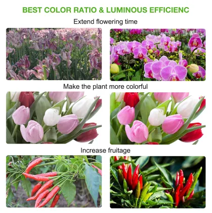 LED Light Source IP65 cob led grow light