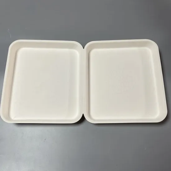 Moulded Pulp Clamshell Custom Printed Apparel Gift Box