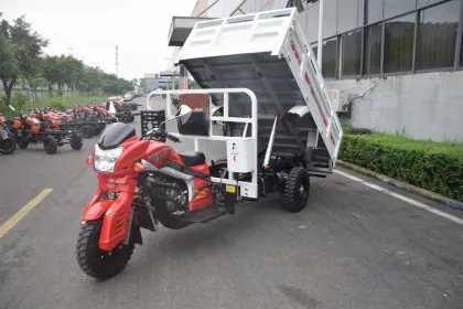 2018 ZONGSHEN Tsunami Customization Model 200cc/250cc/300cc Cargo Tricycle Agricultural Tipper Motorcycle Lift