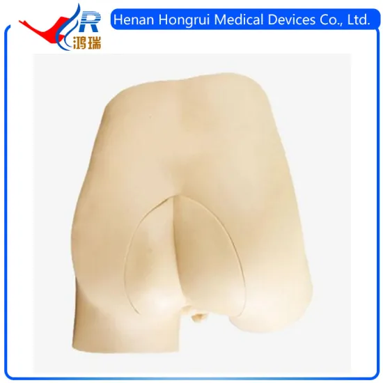 Advanced Rectal Touch Examination Simulator