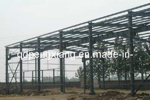 (Steel Structure Shed (PX01B20127002)