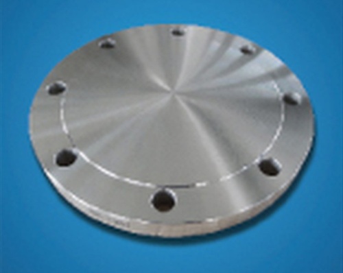 Stainless Steel Forging Blind Flange