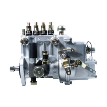 Inline -Pumpe PL für Automobile