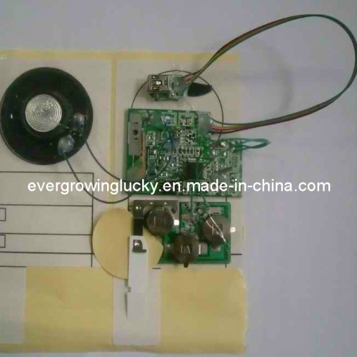 USB Sound Chip for Greeting Card