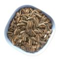 Good Size Top Sunflower Seeds For World Market