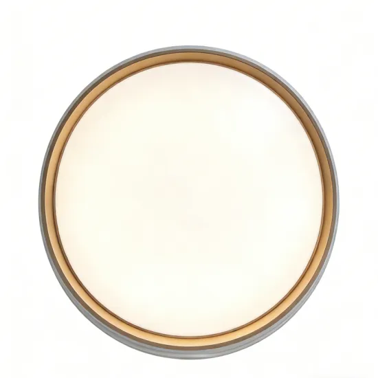 Ceiling-mounted light for interior spaces