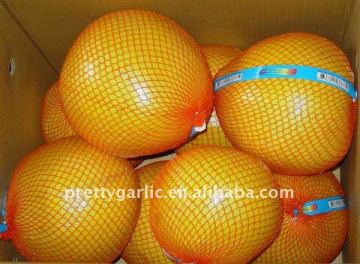 Honey pomelo Zhangzhou origin