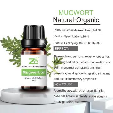 Wholesale Natural Mugwort Fragrance Essential Oil