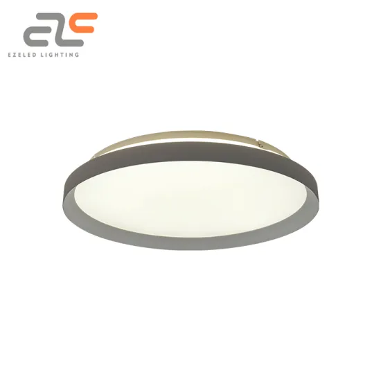 Wholesale Modern LED Ceiling Lamps for Bedroom and Living Room