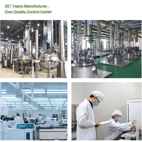 Estratto di rabarbaro premium per infiammazione