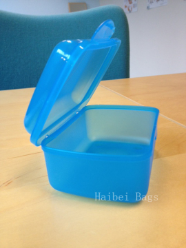 Customized Cute Packing Plastic PVC Box (HBPLB-2)