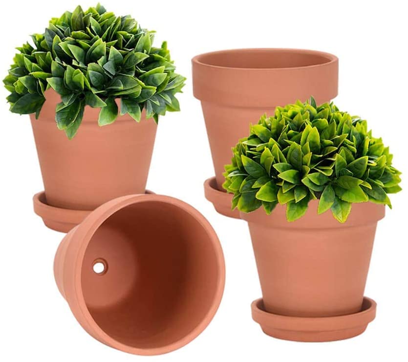 6 Inch Clay Pot for Plant with Saucer