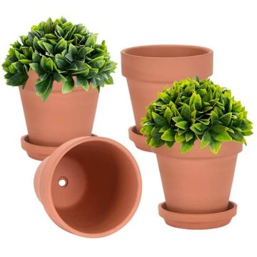6 Inch Clay Pot for Plant with Saucer