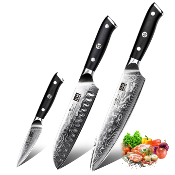 SHANZU 3-Piece Japanese Damascus Steel Chef Knife Set with 10Cr Steel Blades and G10 Handles