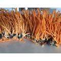 Cordyceps mycélia extrait cordycepin 98% de poudre Price