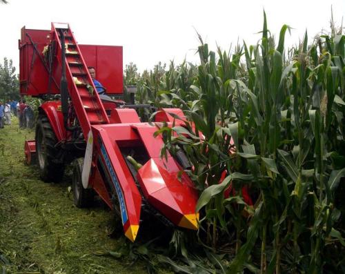 Corn Combine Harvester