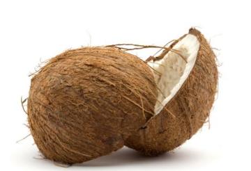Top Quality Coconut Shell Activated Carbon