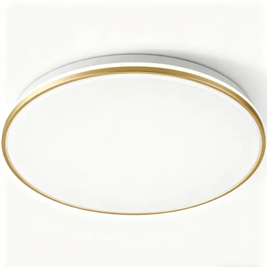 Modern Round LED Ceiling Light for Home Decor