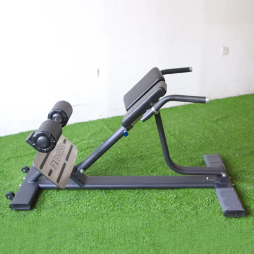 Commercial Gym Exercise Equipment Back Extension Bench