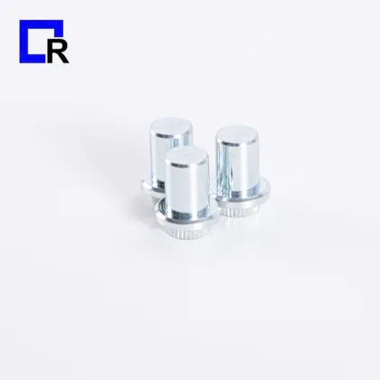 Stainless Steel Rivet Nuts