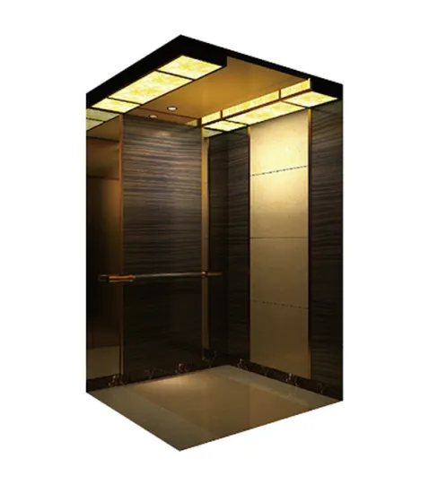 Maurer Hot Sale Passenger Elevator