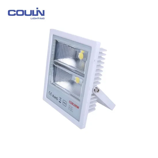 Fashionable Designed Stainless Steel Led Flood Light