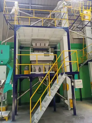 Low Price High Quality Bean Color Sorting Machine for Lima Beans