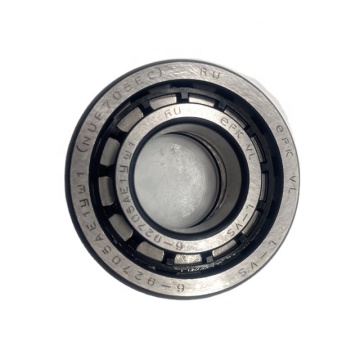 Hot Sale High Quality Cylindrical Roller Bearings 25*55*18 for Vehicle Car