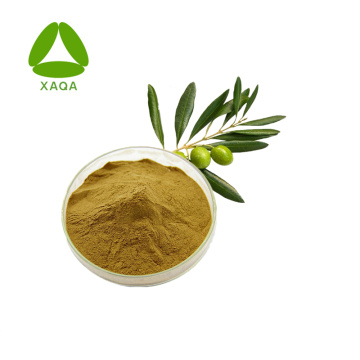 Olive Leaf Extract Oleuropein 20% 40% 60% Powder