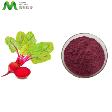Hot Selling Product Red Beetroot Juice Powder