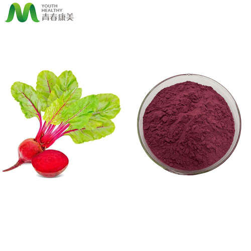 Chaga Mushroom Extract Hot Selling Product Red Beetroot Juice Powder Supplier