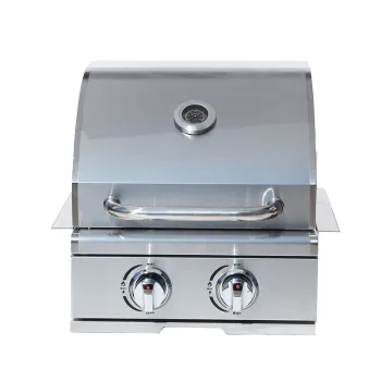 Sleek 430 Stainless Steel 2 Burner Drop-in Gas Grill with Dual High-Performance Burners