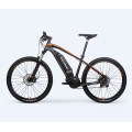 Mountain Ebike Looks Like Motorcycle