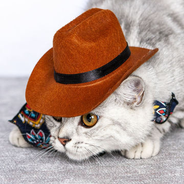 Funny Pet Hat Denim Dog Cat Hat Vintage Party Set