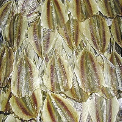 dried golden stripe fish fillet