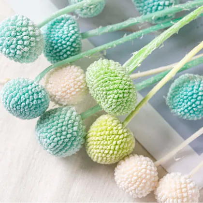 Wholesale Preserved Craspedia Golden Balls for DIY Flower Arrangements