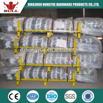 HongYue----tomato spiral scaffold